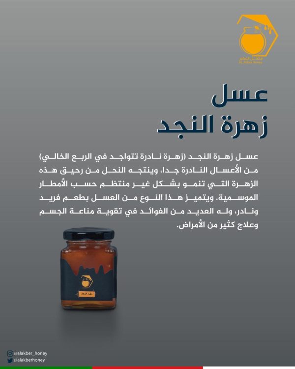 صندوق أوبار